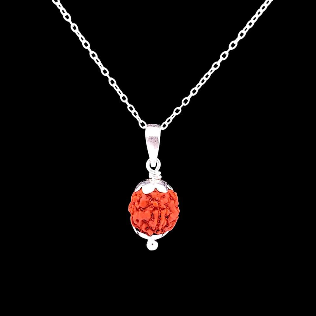 Mystic 5 Mukhi Rudraksha Chain & Pendant (925 Real Silver) - Silver