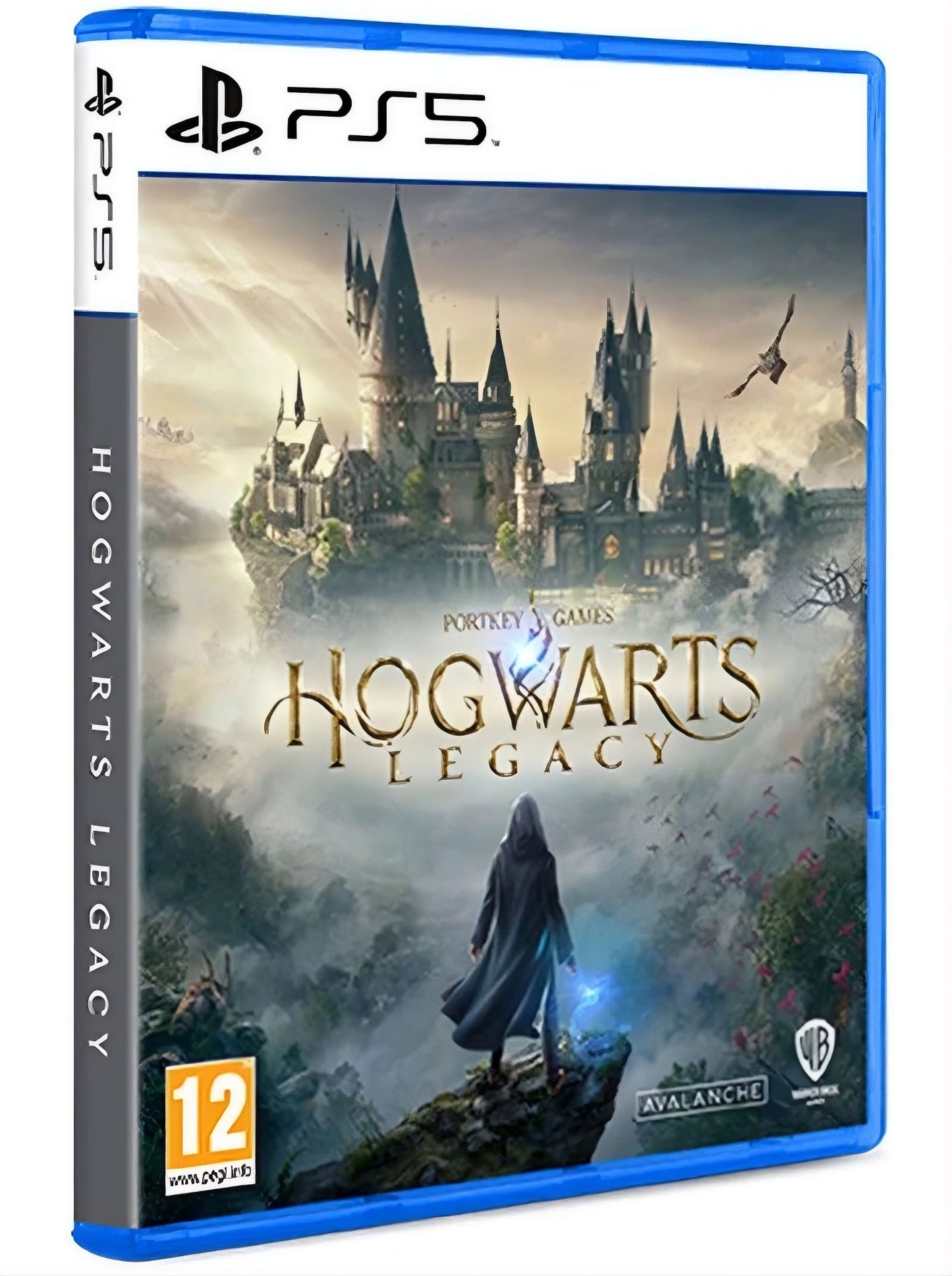 PS5 Hogwarts Legacy Standard Edition (New)