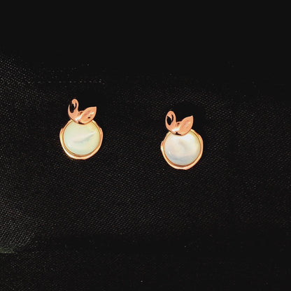 Moonstone Coin Drop Earrings