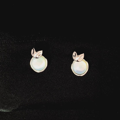 Moonstone Coin Drop Earrings